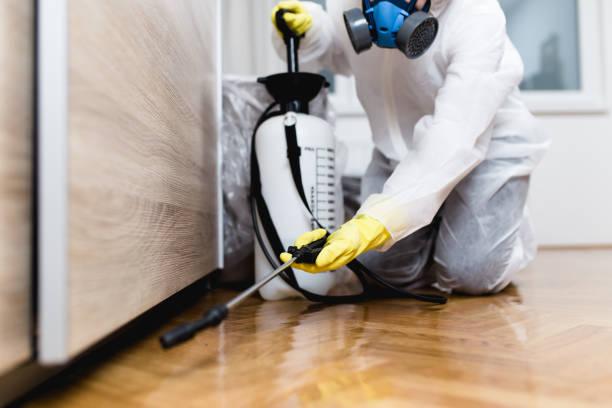 Reliable Lewiston, ME Pest Control Solutions