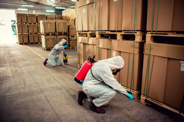 Best Emergency Pest Control  in Lewiston, ME