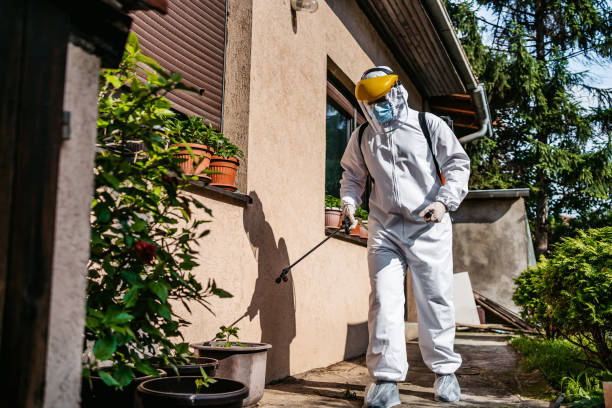 Insect Control in Lewiston, ME