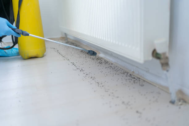 Best Bed Bug Extermination  in Lewiston, ME