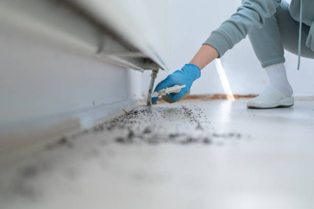 Best Affordable Pest Control Services  in Lewiston, ME